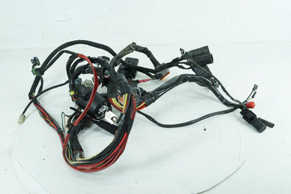 2004 - 2013 Harley-Davidson Sportster Low Main Wire Wiring Harness Loom 69200317
