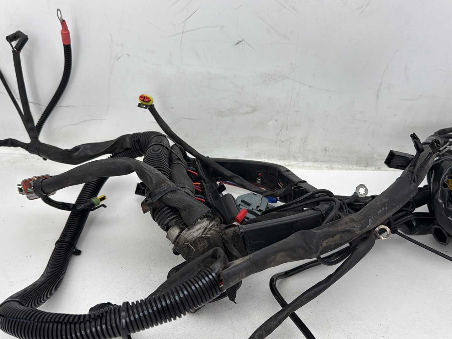 2008 Harley Softail Deluxe FLSTN OEM Main Wire Wiring Harness Loom