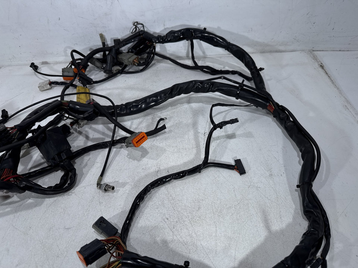 2002 Harley Electra Glide Touring Classic OEM Main Wire Wiring Harness Loom CARB