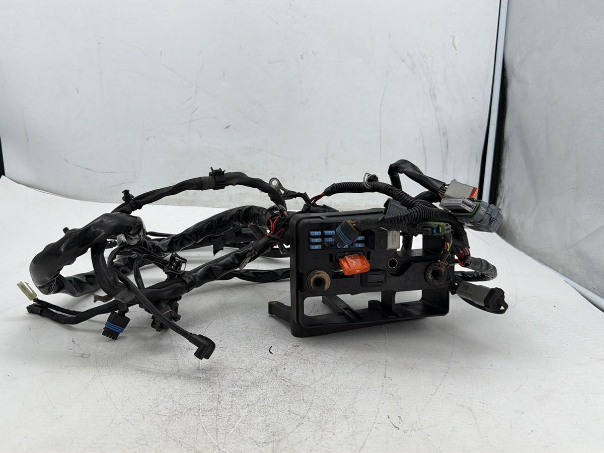 2005 Harley Dyna Wide Glide FXDWG OEM Main Wire Wiring Harness Loom