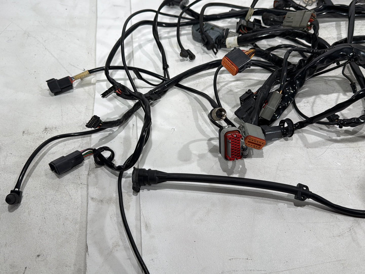 2003 Harley Electra Glide Touring Ultra OEM Main Wire Wiring Harness Loom
