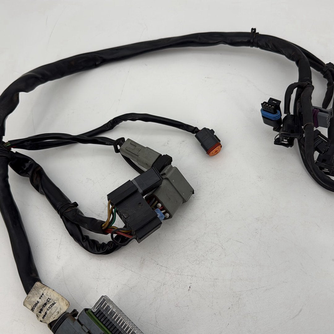 1999 - 2006 Harley-Davidson Touring Road King Custom EFI Fuel Injector Engine Wiring Wire Harness 70233-04A