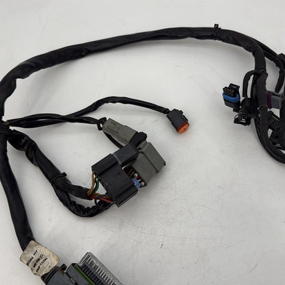 1999 - 2006 Harley-Davidson Touring Road King Custom EFI Fuel Injector Engine Wiring Wire Harness 70233-04A
