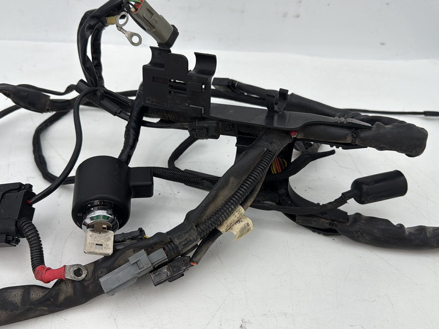2004 - 2013 Harley-Davidson Sportster 1200 Custom Main Wire Wiring Harness Ignition Switch NOKey 70139-06