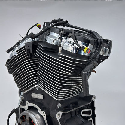 2017 - 2026 Harley-Davidson Softail Heritage Classic 114 EFI Milwaukee M8 114 Engine Motor 16200655