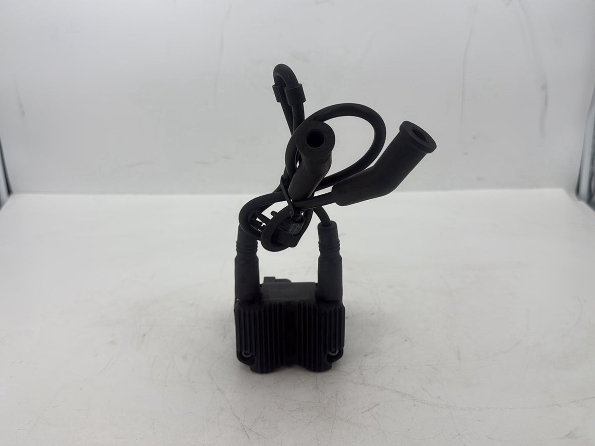 2005 Harley Touring FLHRCI Road King Classic OEM Ignition Coil Spark Plugs Cable