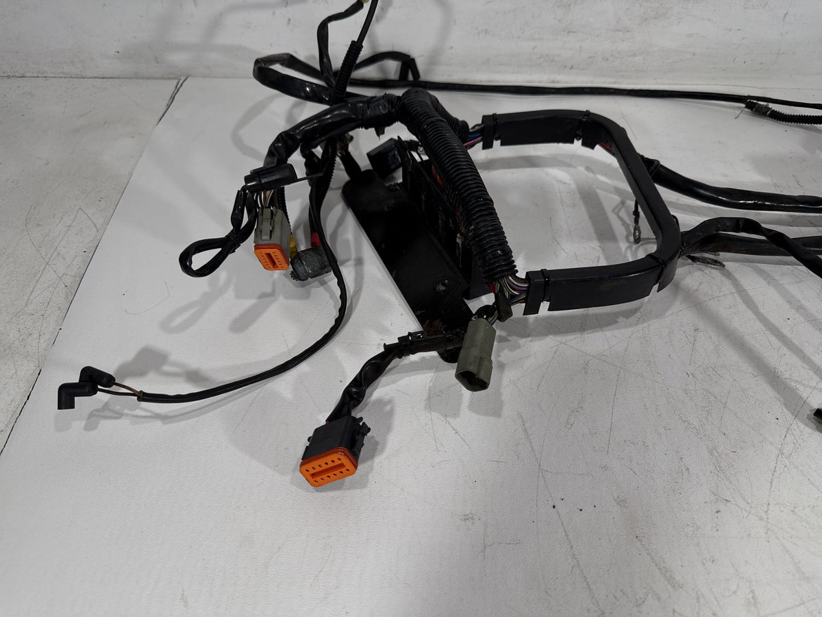 2001 Harley Softail Standard FXST OEM Main Wire Wiring Harness Loom CARB