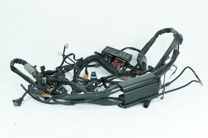 1999 - 2006 Harley-Davidson Softail Heritage Main Wire Wiring Harness Loom 70216-04A