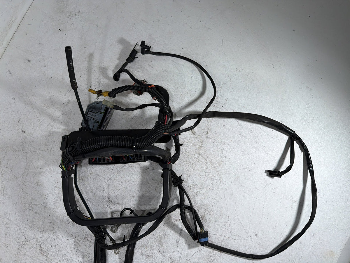 2001 Harley Fat Boy Softail FLSTFI OEM Main Wire Wiring Harness Loom CARB