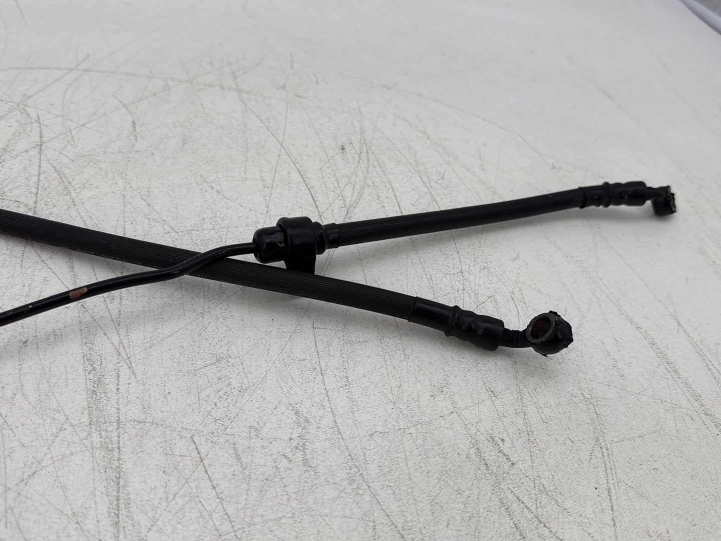 2004 Harley Sportster XL883C 883 Custom OEM Front Brake Hose Line Pipe