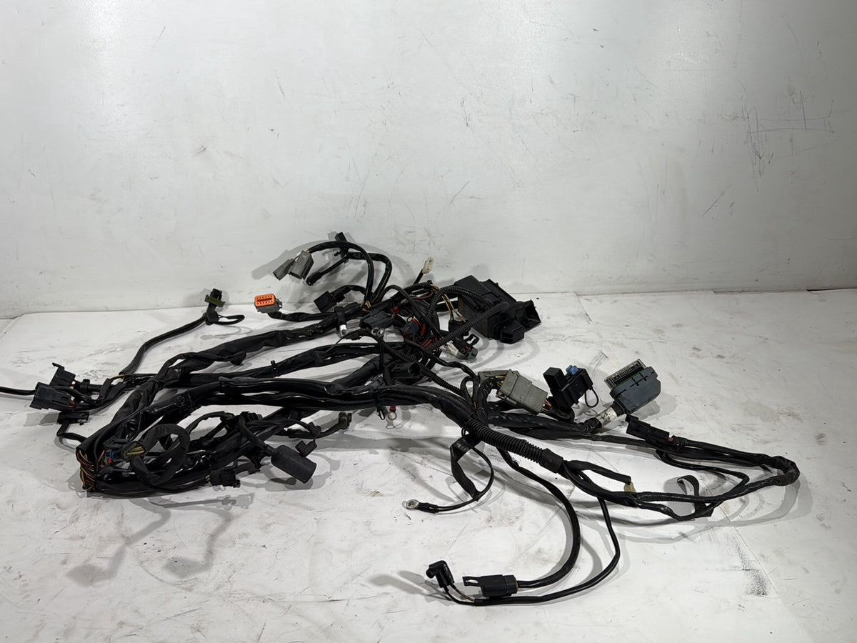2004 Harley Road King Touring Classic OEM Main Wire Wiring Harness Loom