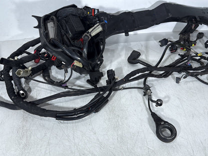 2008 - 2016 Harley-Davidson Touring Electra Glide Ultra Main Wire Wiring Harness Loom ABS