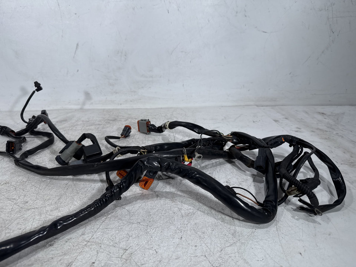 2002 Harley Dyna Wide Glide FXDWG OEM Main Wire Wiring Harness Loom CARB