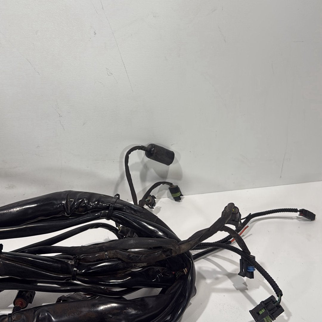 1999 - 2006 Harley-Davidson Touring Electra Glide Ultra Main Wire Wiring Harness Loom 70985-05
