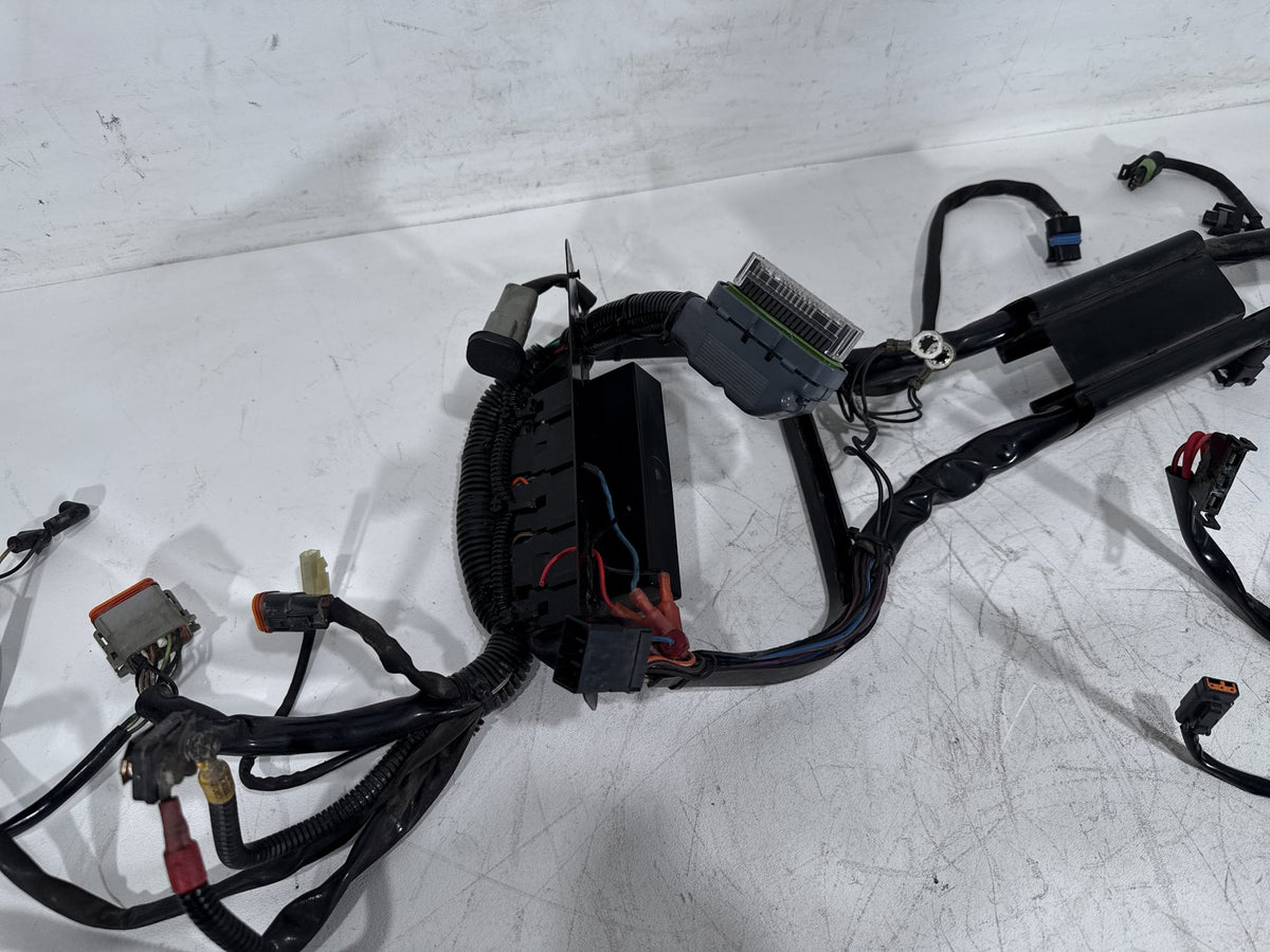 2003 Harley Softail Deuce FXSTDI OEM Main Wire Wiring Harness Loom EFI
