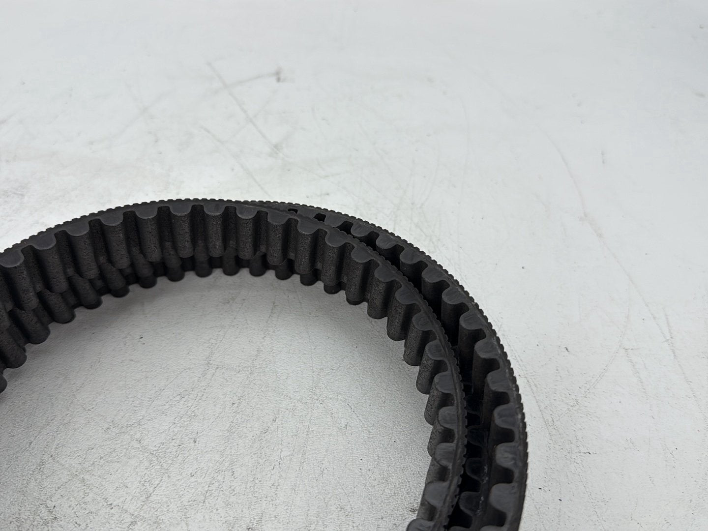 2009 Harley Sportster 883 Low XL883L OEM Rear Drive Belt
