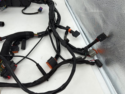 1999 - 2006 Harley-Davidson Touring Electra Glide Ultra Main Wire Wiring Harness Loom 71000-06