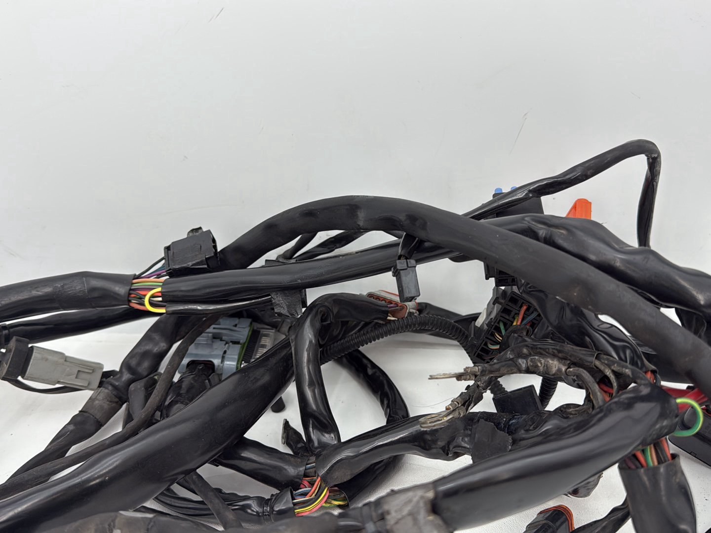 1999 - 2006 Harley-Davidson Dyna Low Rider Main Wire Wiring Harness Loom 69602-04A