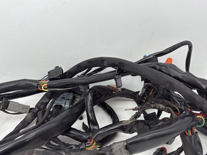 1999 - 2006 Harley-Davidson Dyna Low Rider Main Wire Wiring Harness Loom 69602-04A