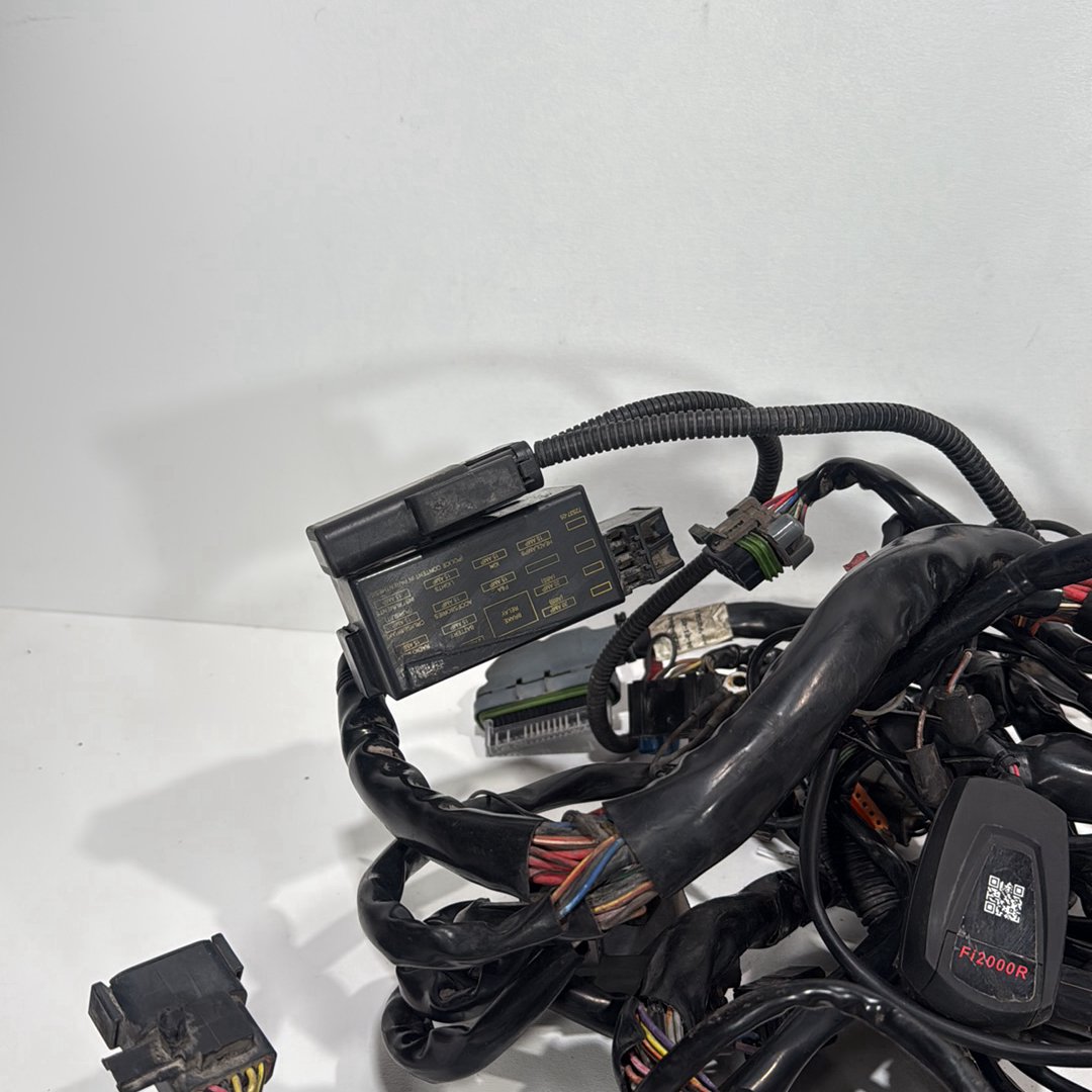 1999 - 2006 Harley-Davidson Touring Electra Glide Ultra Main Wire Wiring Harness Loom 70985-05