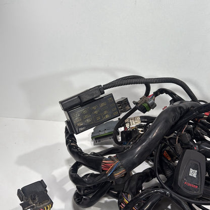1999 - 2006 Harley-Davidson Touring Electra Glide Ultra Main Wire Wiring Harness Loom 70985-05