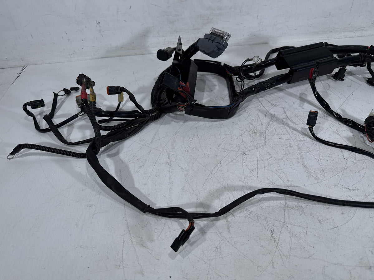 2003 Harley Softail Deuce FXSTDI OEM Main Wire Wiring Harness Loom EFI