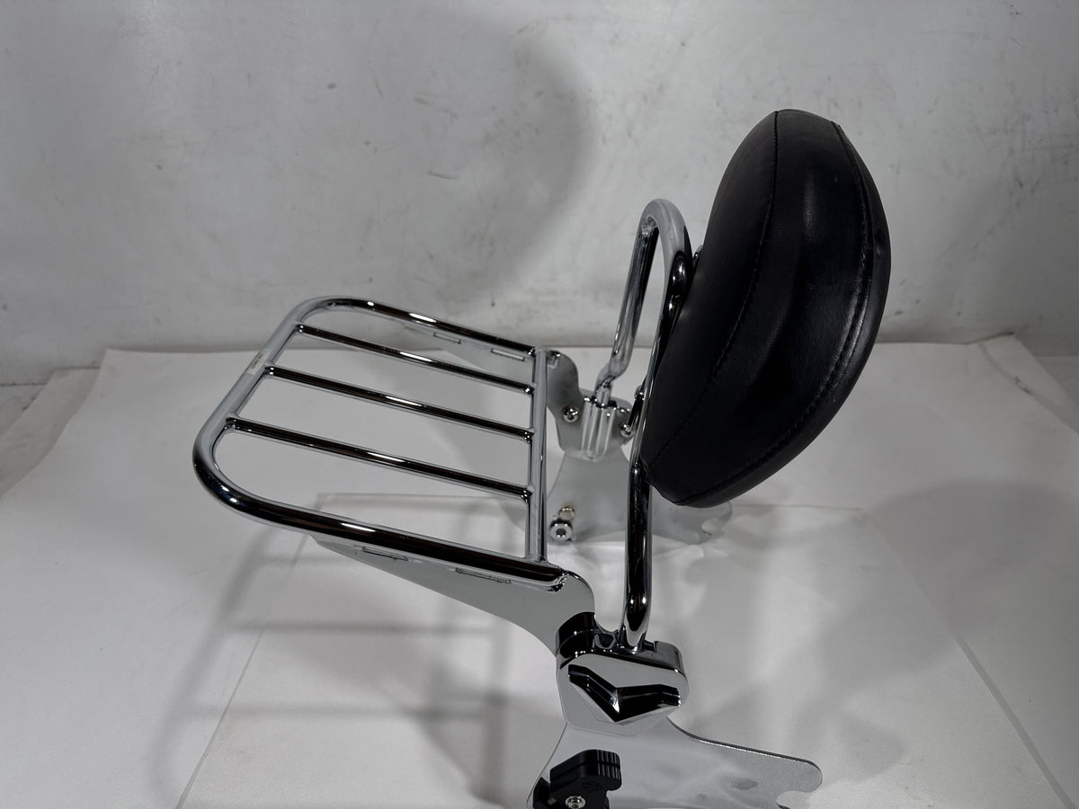 2004 Harley Road King Touring Classic OEM Rear Sissy Bar w/ Backrest Cushion Pad