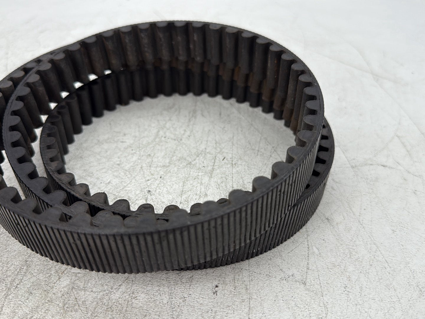 1997 Harley Sportster 1200 Custom XL1200C OEM Rear Drive Belt