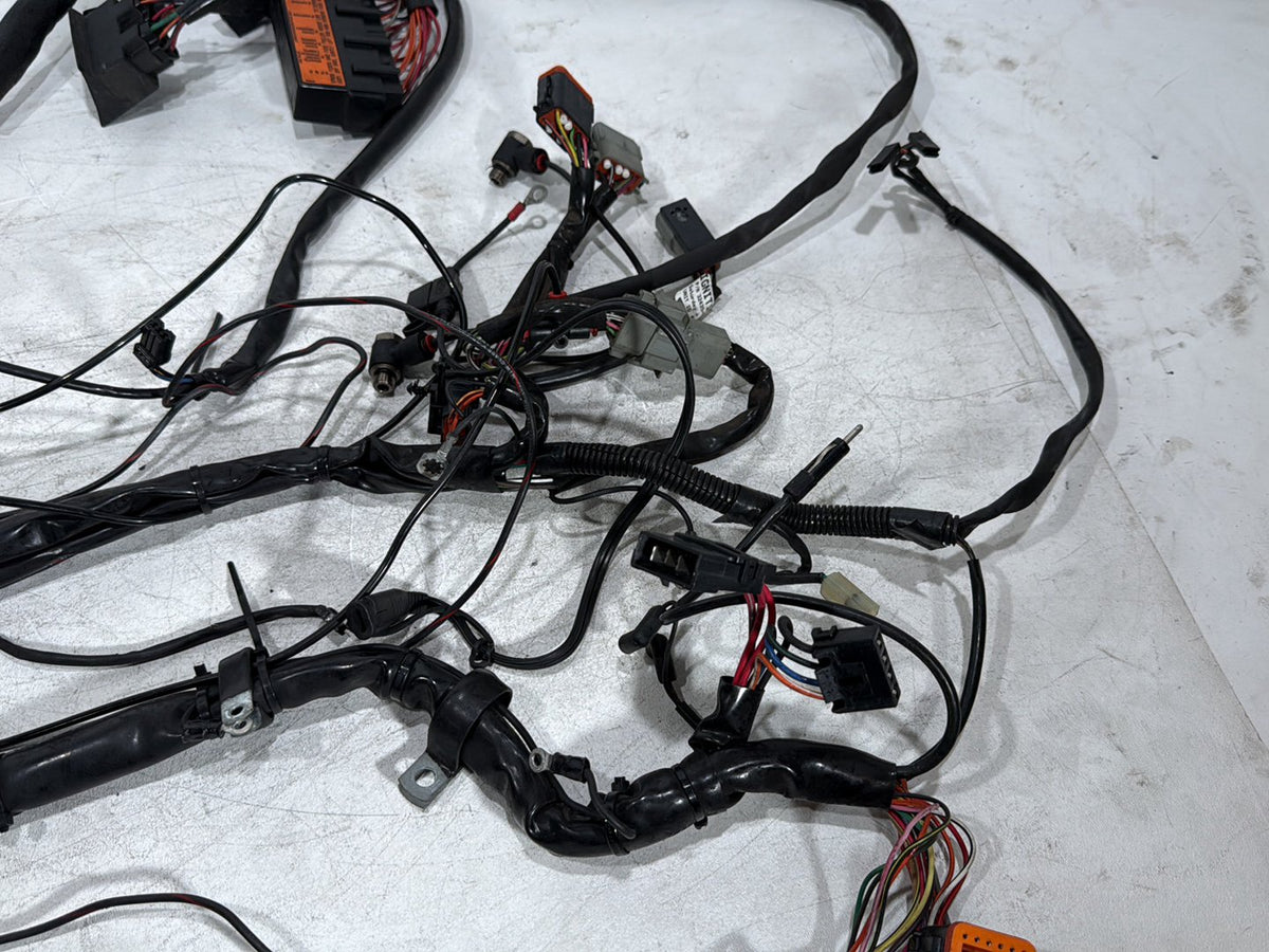 1999 Harley Electra Glide Touring FLHT OEM Main Wire Wiring Harness Loom CARB