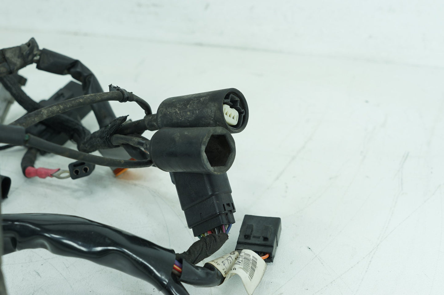 2004 - 2013 Harley-Davidson Sportster Low Main Wire Wiring Harness Loom 69200317