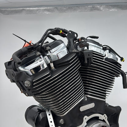 2017 - 2026 Harley-Davidson Softail Heritage Classic 114 EFI Milwaukee M8 114 Engine Motor 16200655