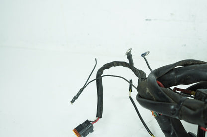 1999 - 2006 Harley-Davidson Touring Road King Police Main Wire Wiring Harness Loom 70245-99