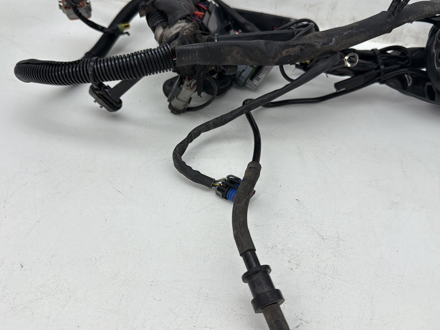 2008 Harley Softail Deluxe FLSTN OEM Main Wire Wiring Harness Loom