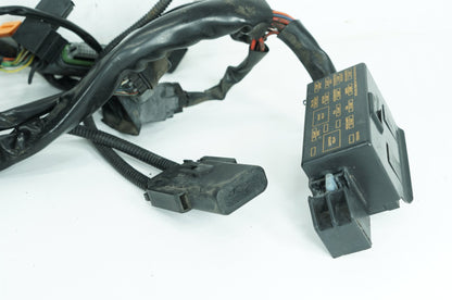 1999 - 2006 Harley-Davidson Touring Road King Main Wire Wiring Harness Loom 70245-06