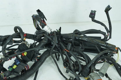 2000 - 2006 Harley-Davidson Softail Deuce Main Wire Wiring Harness Loom 70216-01