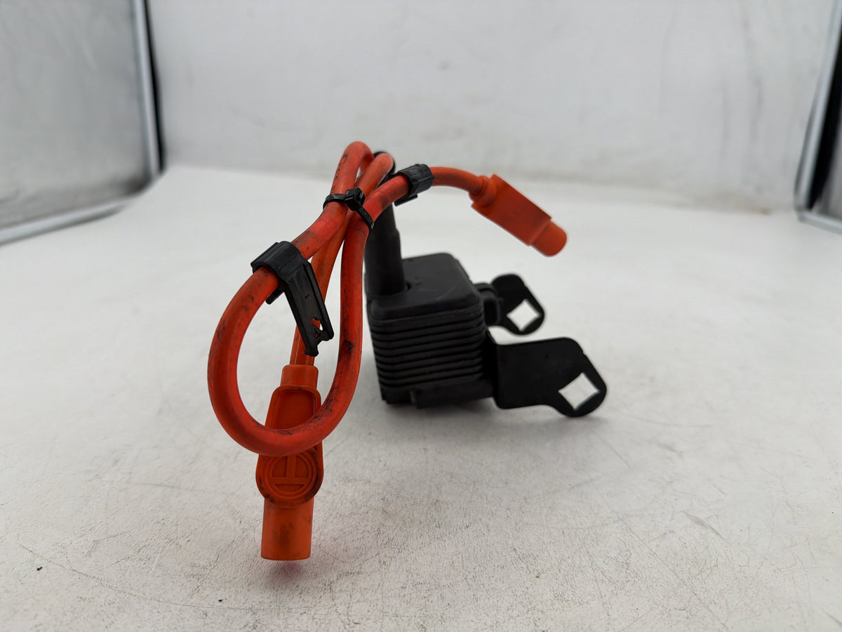 2002 Harley Electra Glide Touring FLHT OEM Ignition Coil Spark Plugs Cable