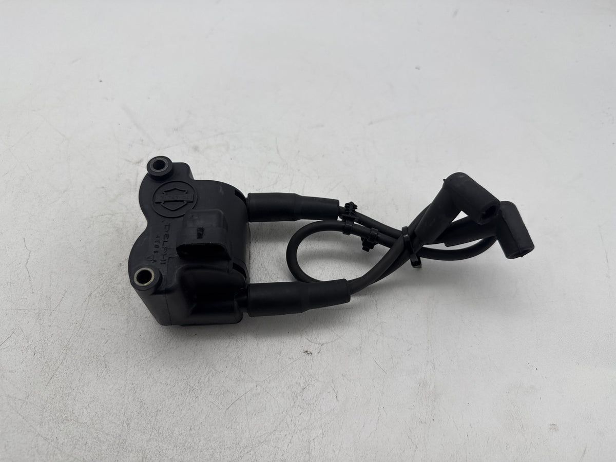 2014 Harley Softail Slim FLS OEM Ignition Coil Spark Plugs Cable