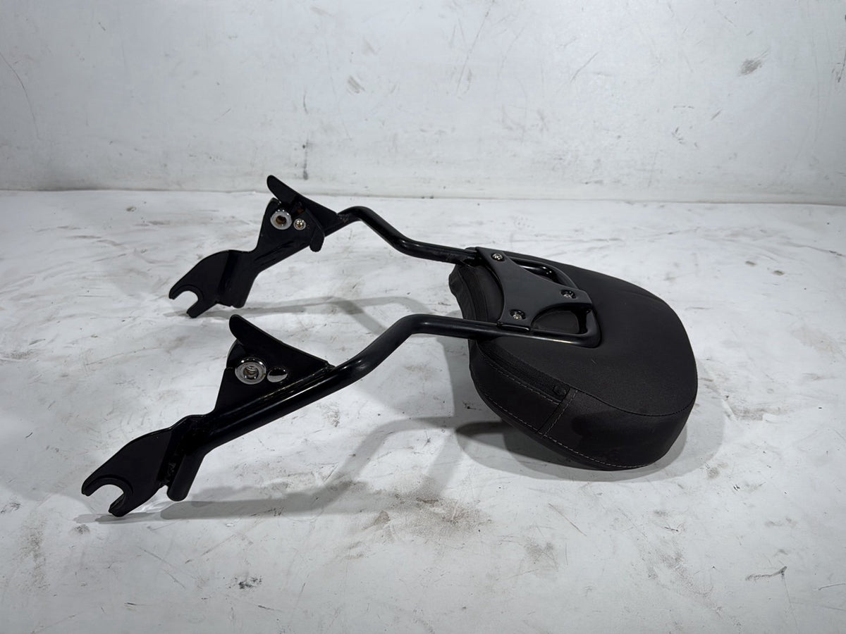 2022 Harley Road King Touring FLHR OEM Rear Sissy Bar w/ Backrest Cushion Pad