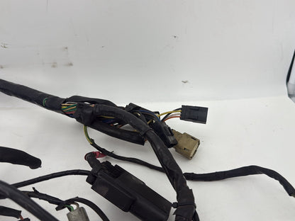 2004 - 2022 Harley-Davidson Sportster 1200 Nightster Main Wire Wiring Harness Ignition Switch NOKey 70181-10