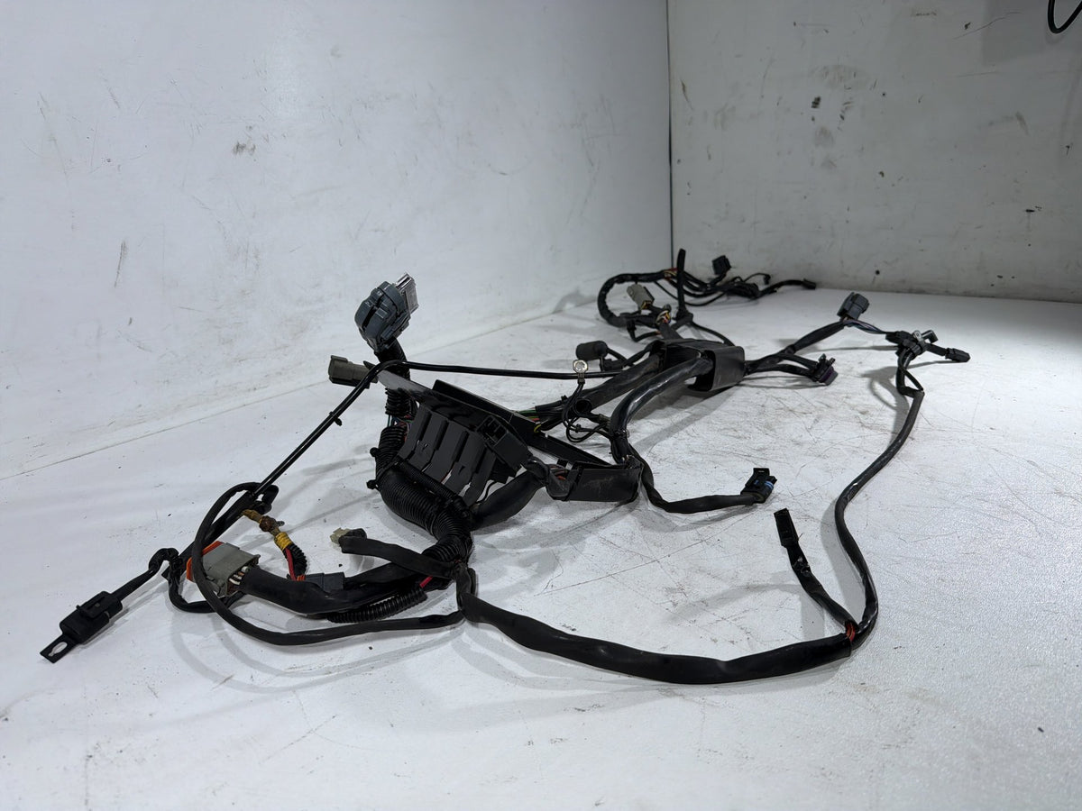 2001 Harley Fat Boy Softail FLSTFI OEM Main Wire Wiring Harness Loom CARB