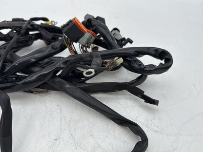 2002 Harley Dyna FXD Super Glide OEM Main Wire Wiring Harness Loom
