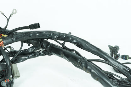 1999 - 2006 Harley-Davidson Touring Electra Glide Classic Main Wire Wiring Harness Loom  	70985-03