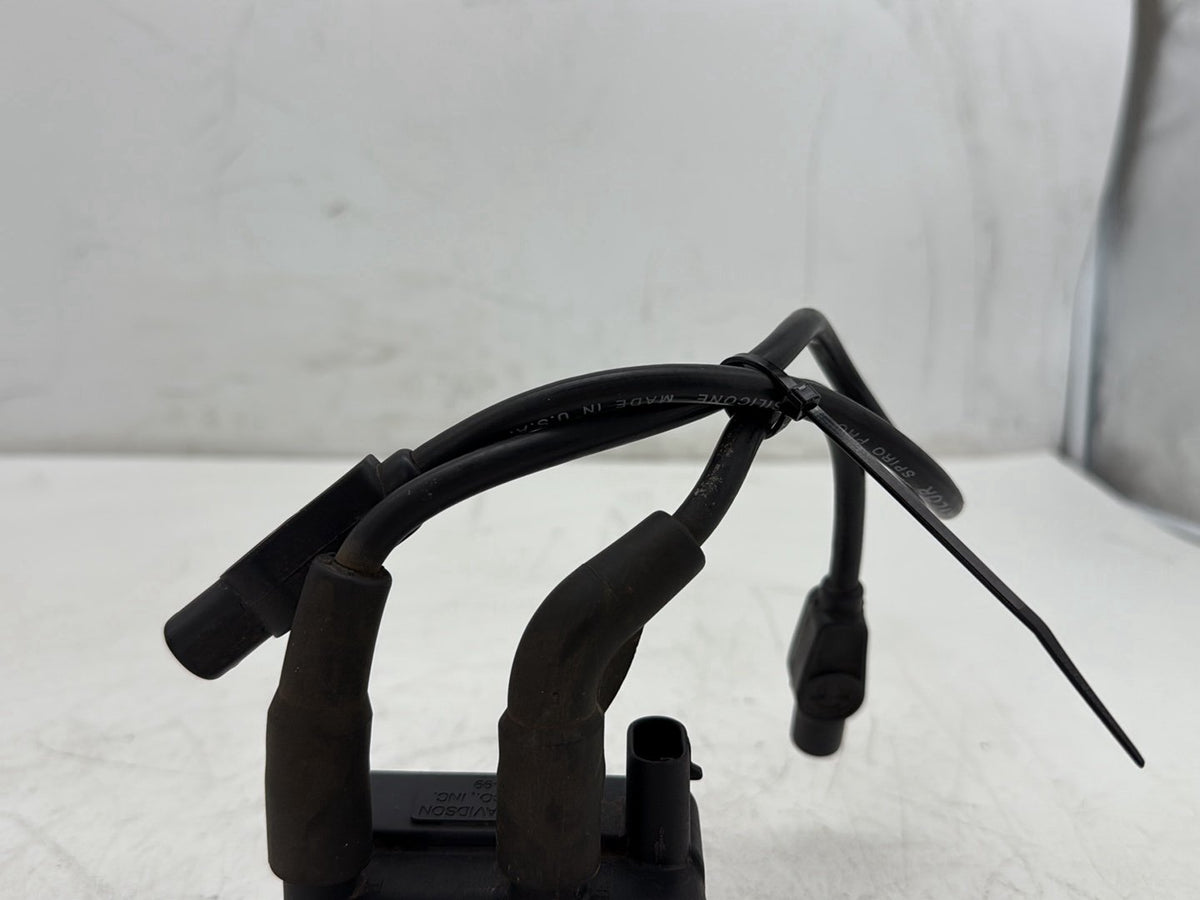 2000 Harley Electra Glide Touring Ultra OEM Ignition Coil Spark Plugs Cable