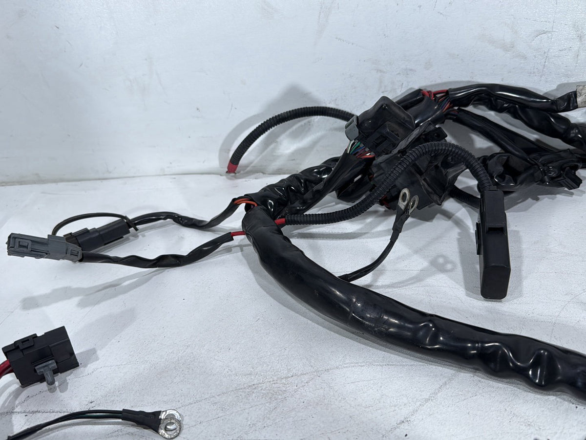 2005 Harley Electra Glide Touring FLHTI OEM Main Wire Wiring Harness Loom