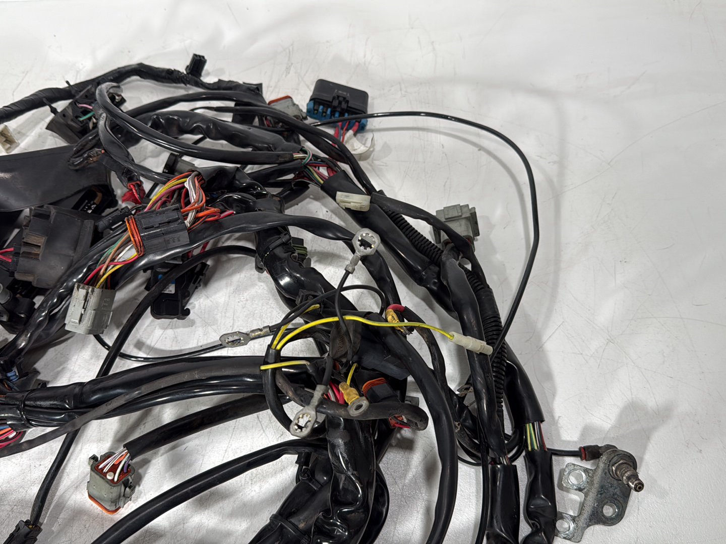 1999 - 2006 Harley-Davidson Touring Electra Glide Classic Main Wire Wiring Harness Loom  	70985-00