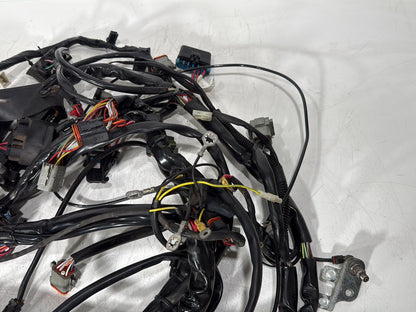 1999 - 2006 Harley-Davidson Touring Electra Glide Classic Main Wire Wiring Harness Loom  	70985-00