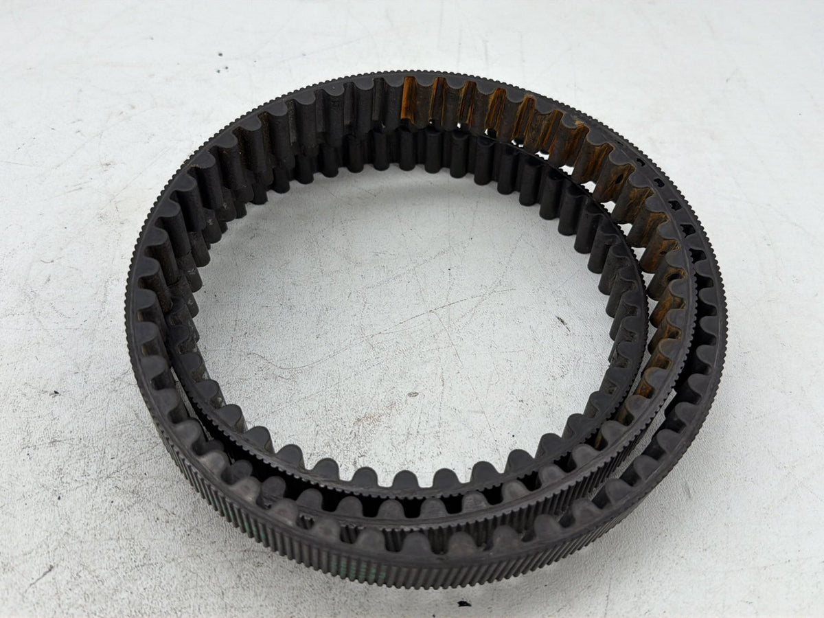Rear Drive Belt
