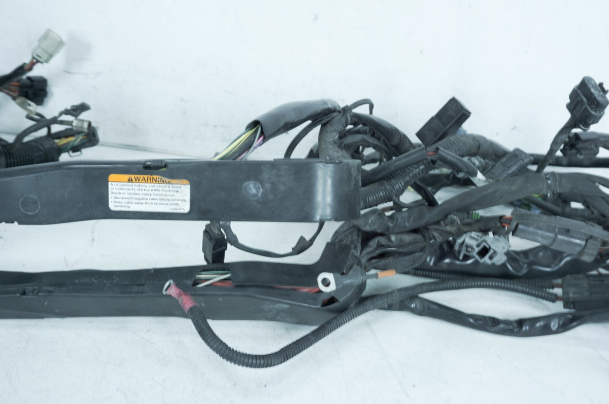 2007 Harley Touring SE CVO Electra Screamin Eagle Main Wire Wiring Harness Loom