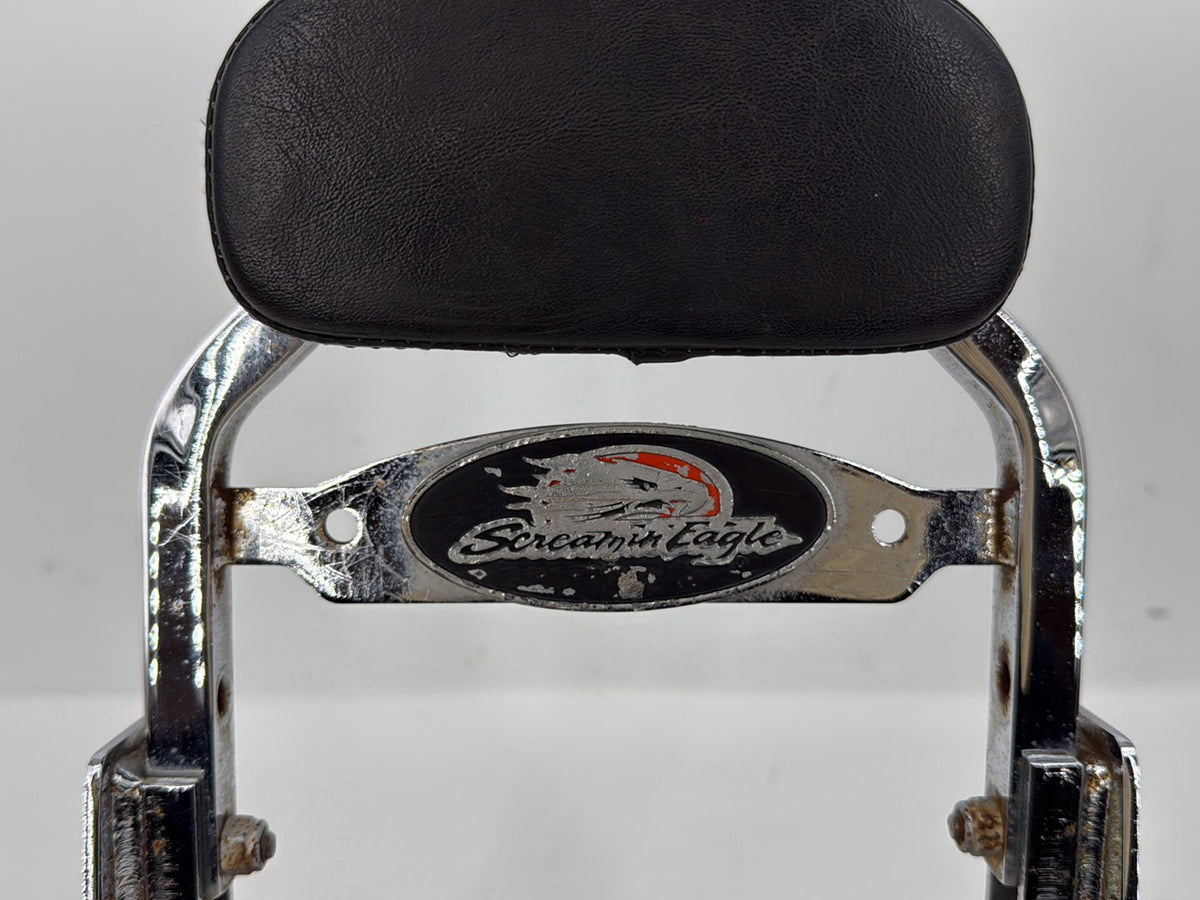 2006 Harley Sportster XL883 883 Custom OEM Rear Sissy Bar & Backrest Cushion Pad