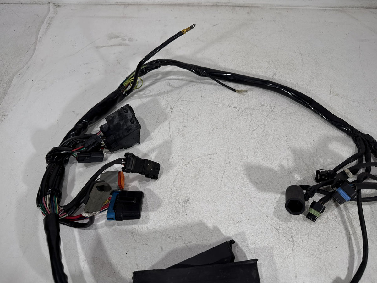 2001 Harley Electra Glide Touring Classic OEM Engine Bay Wire Wiring Harness